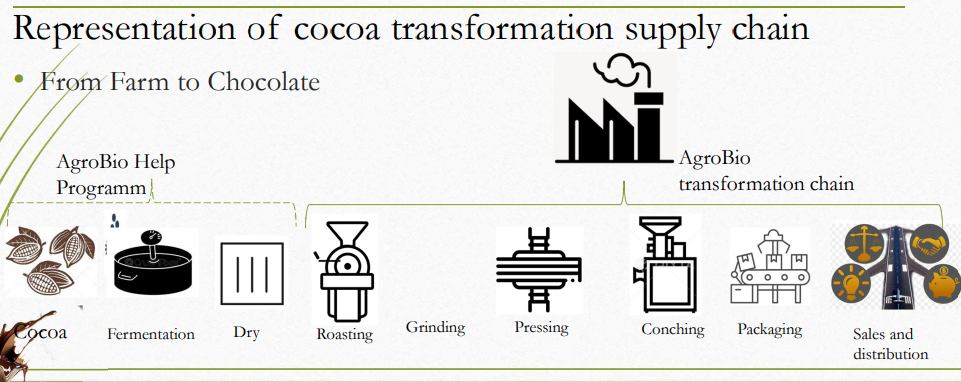 farm to chocolate process